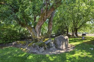 Exterior with large tree, greenery at Lincoln Court Townhomes, 230 Lincoln Street, Fairview, Oregon 97024